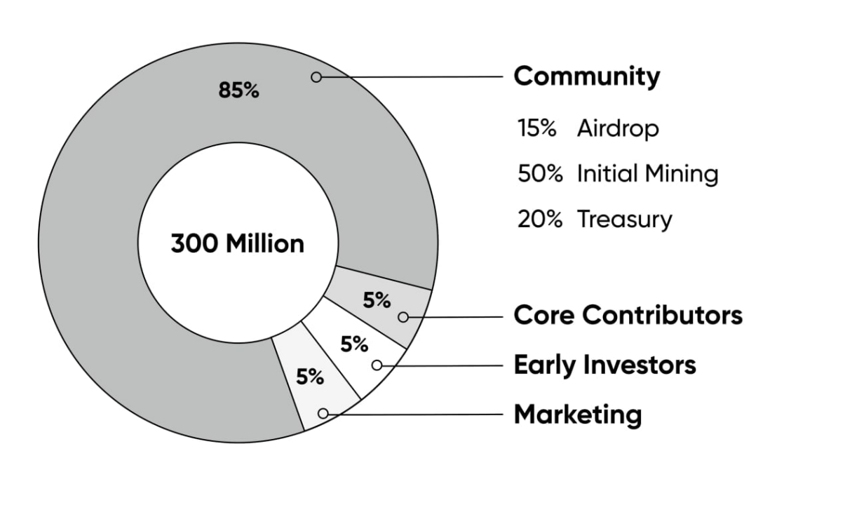 Initial Allocation